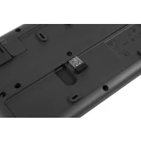 Комплект клавиатура + мышь Logitech MK295 Silent Wireless Combo (920-009807) фото 4